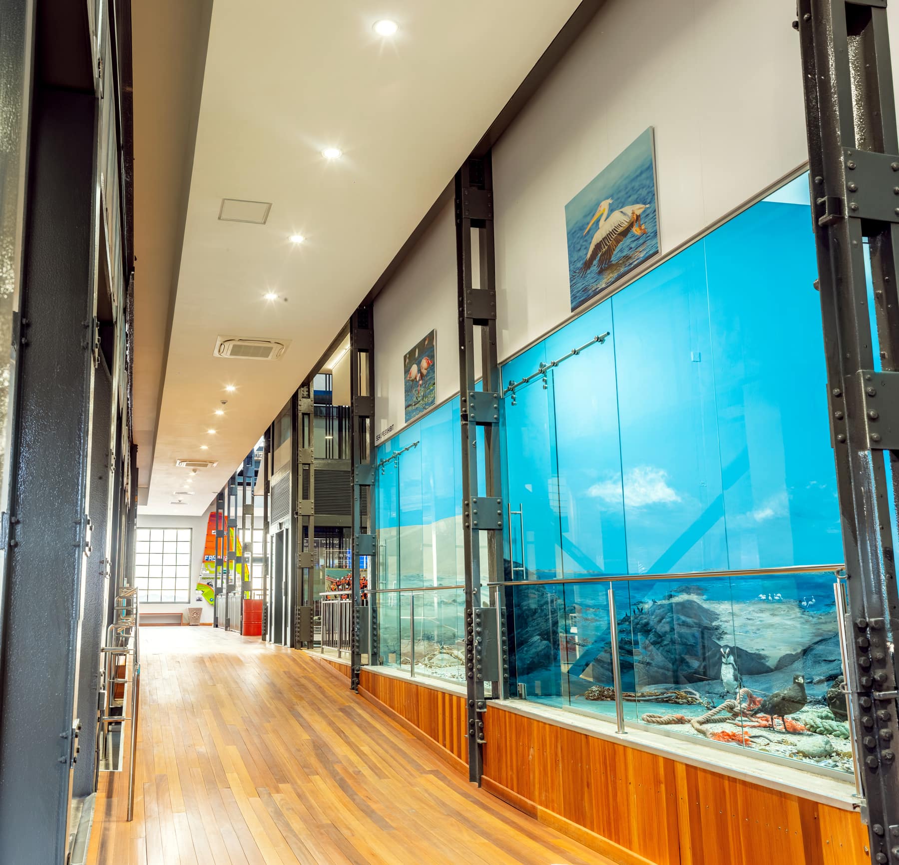 Museum display cases and aquarium lit by recessed downlights